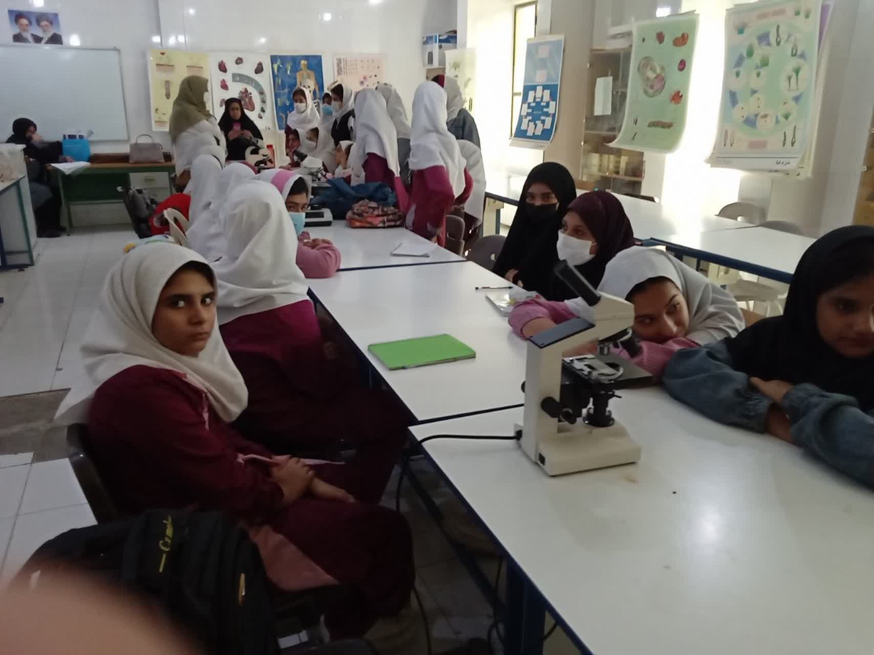 آشنایی با میکروسکوپ و کار با آن